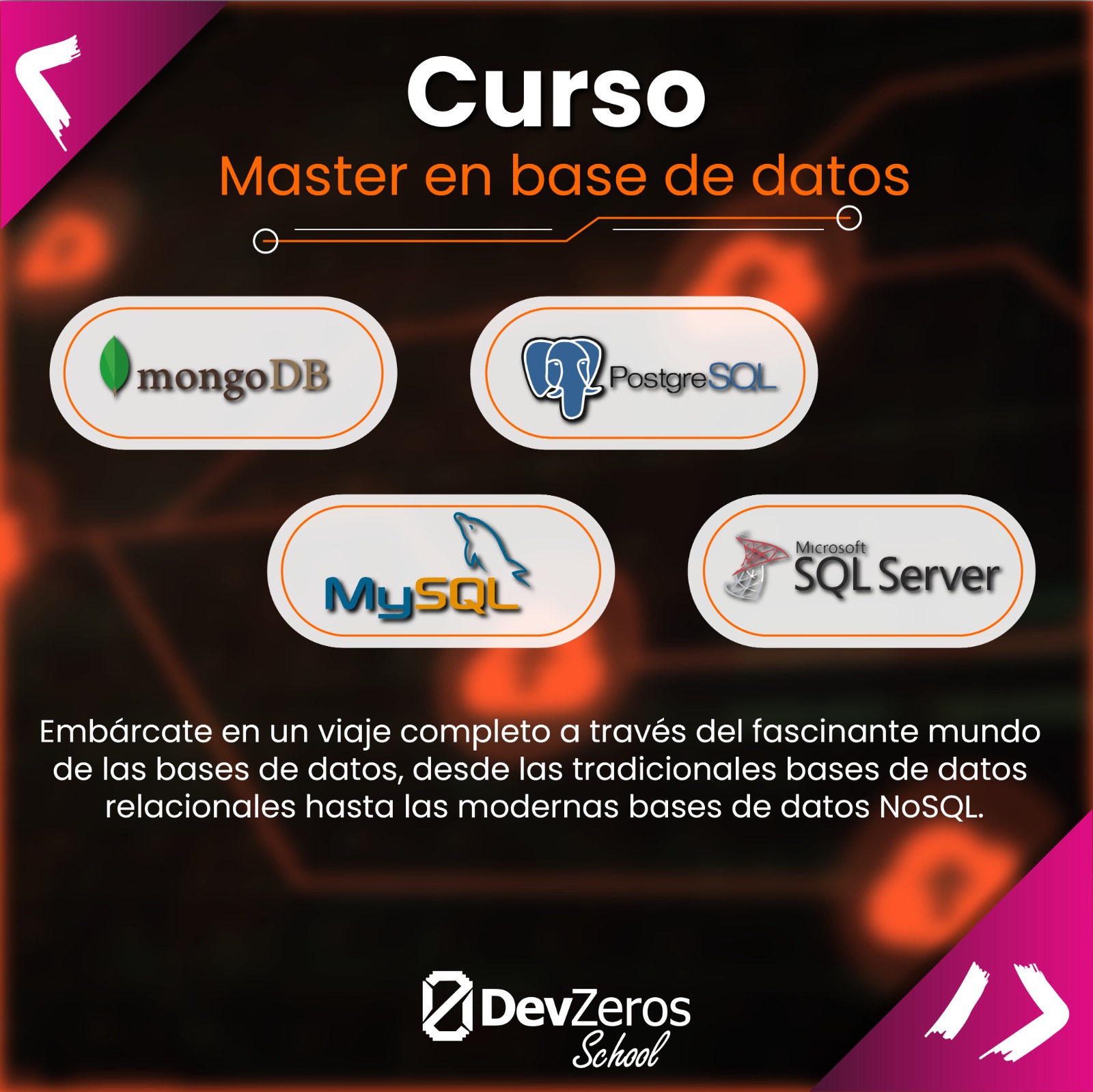 Master en Base de Datos